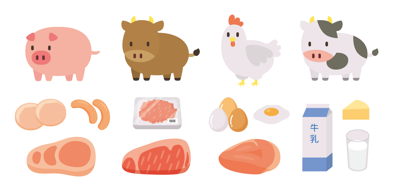 脂質種類の画像