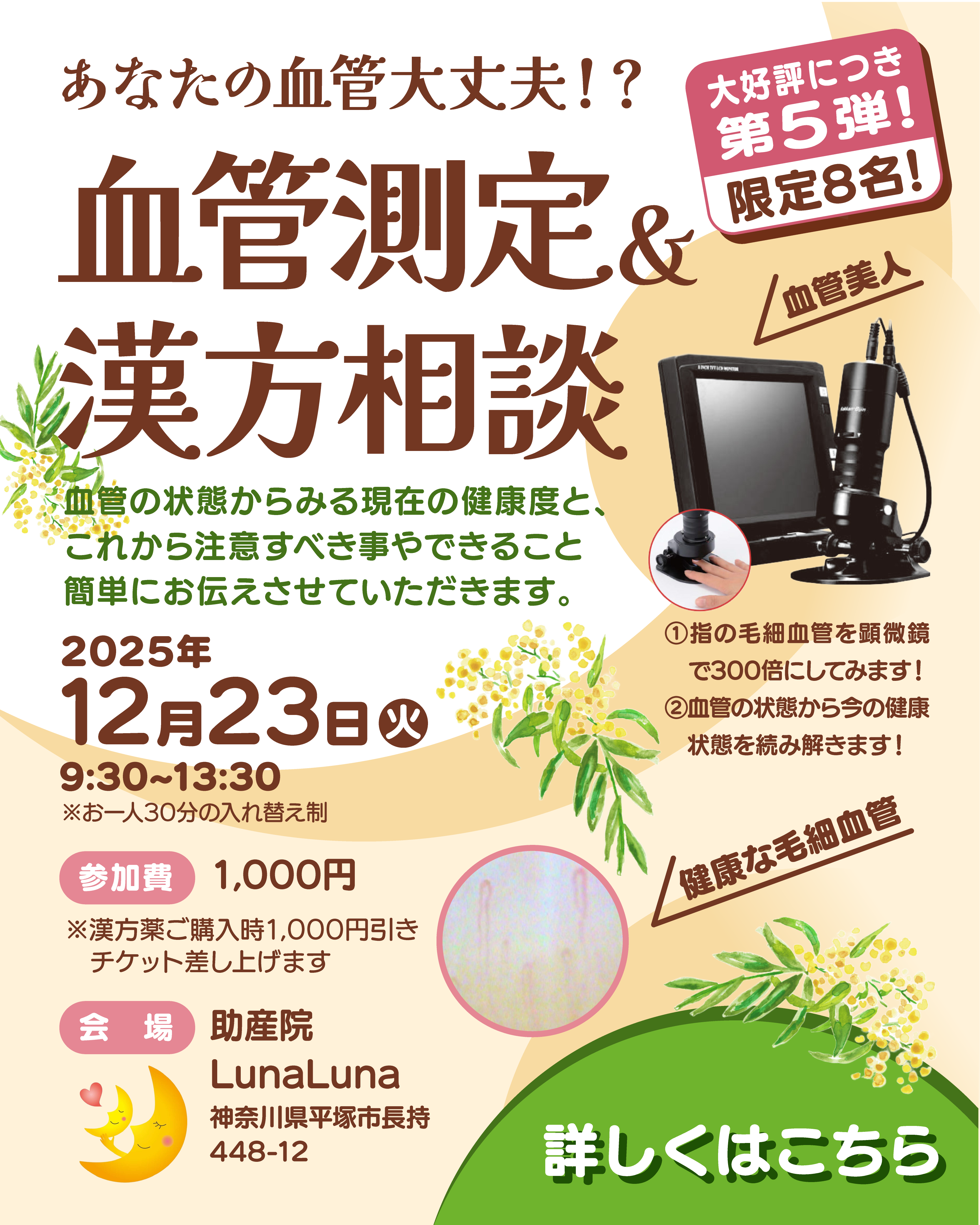 第五弾 血管測定&漢方相談