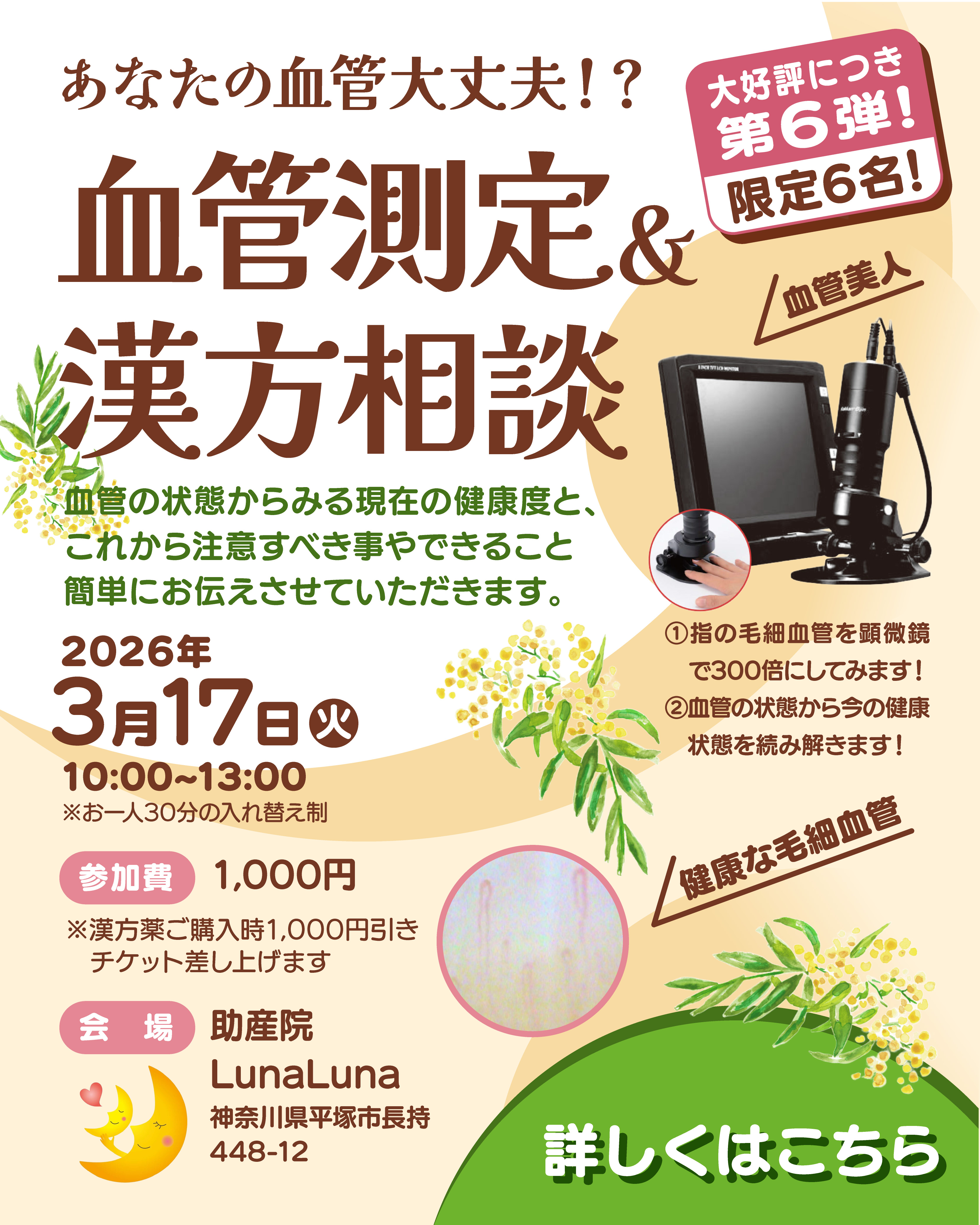 第六弾　血管測定＆漢方相談